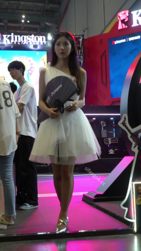 【WaltzCD】华尔兹2024系列之12展台礼仪小姐2