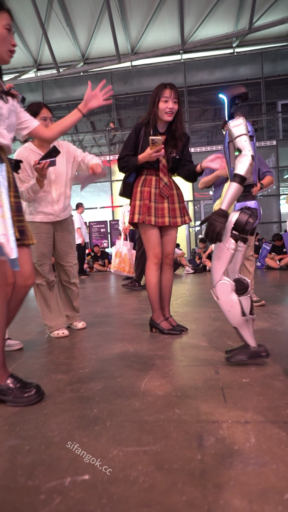 【WaltzCD】华尔兹2024系列之13JK裙黑丝白内