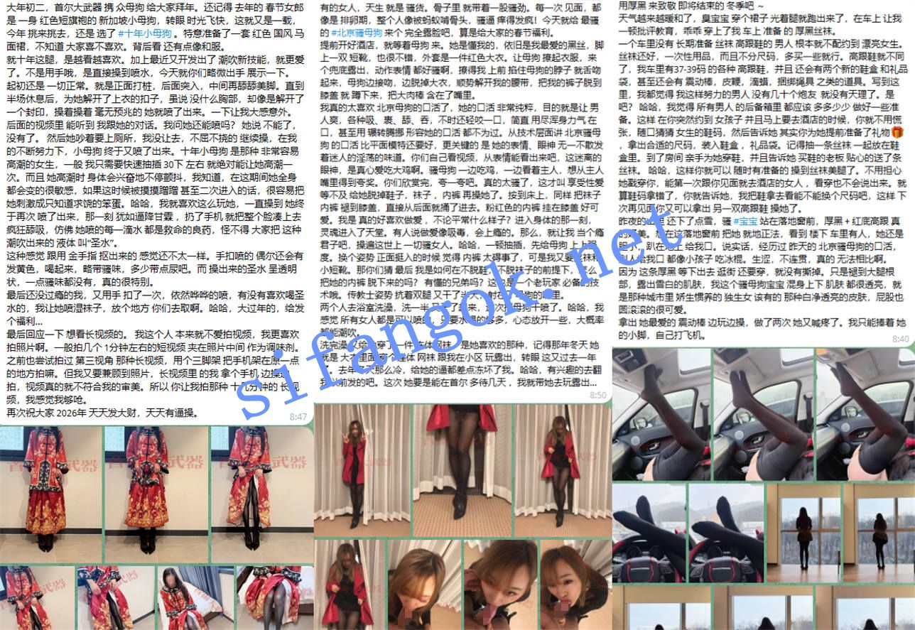 顶级大神【首尔大武器】3月最新约啪九位极品美女