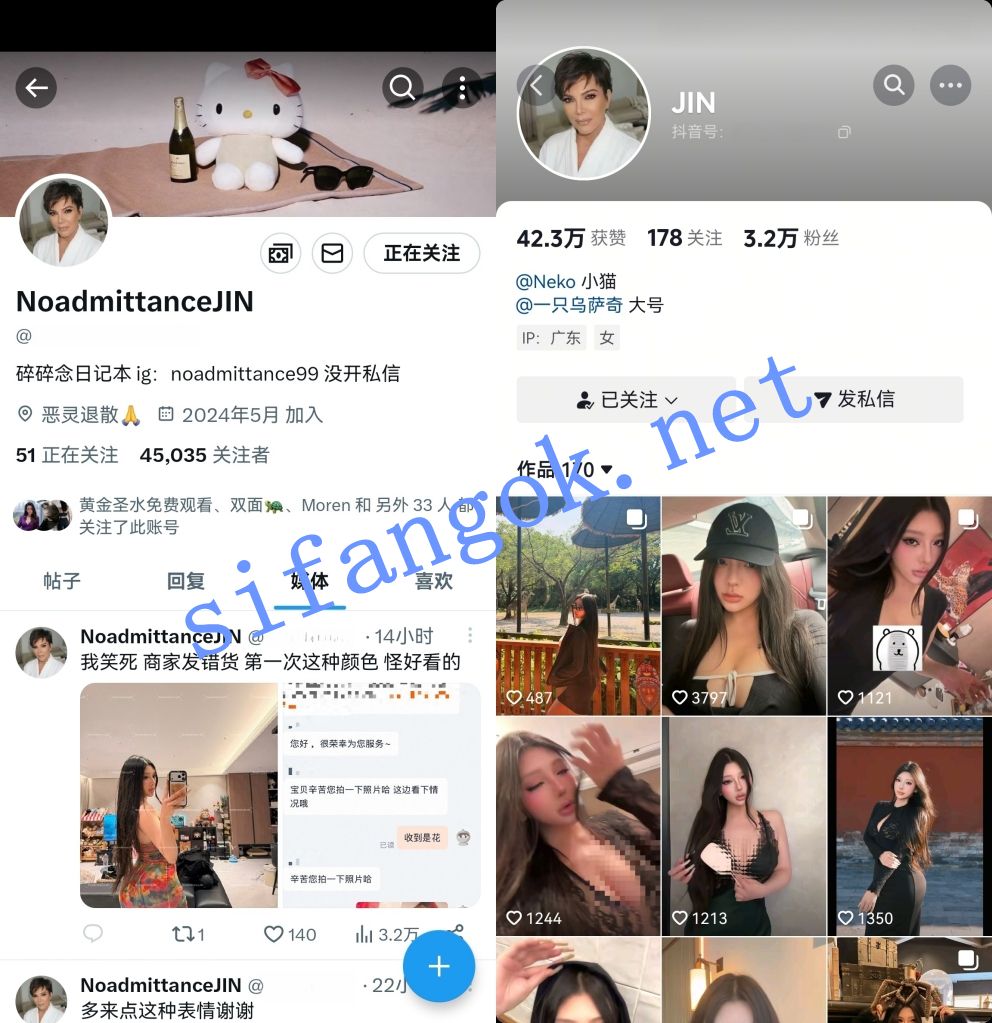 X,INS,抖音极致性感欧美风名媛-NoadmittanceJIN 高价漏奶口交啪啪