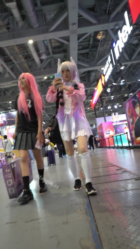 【WaltzCD】华尔兹2023系列之50cosplay系列粉内